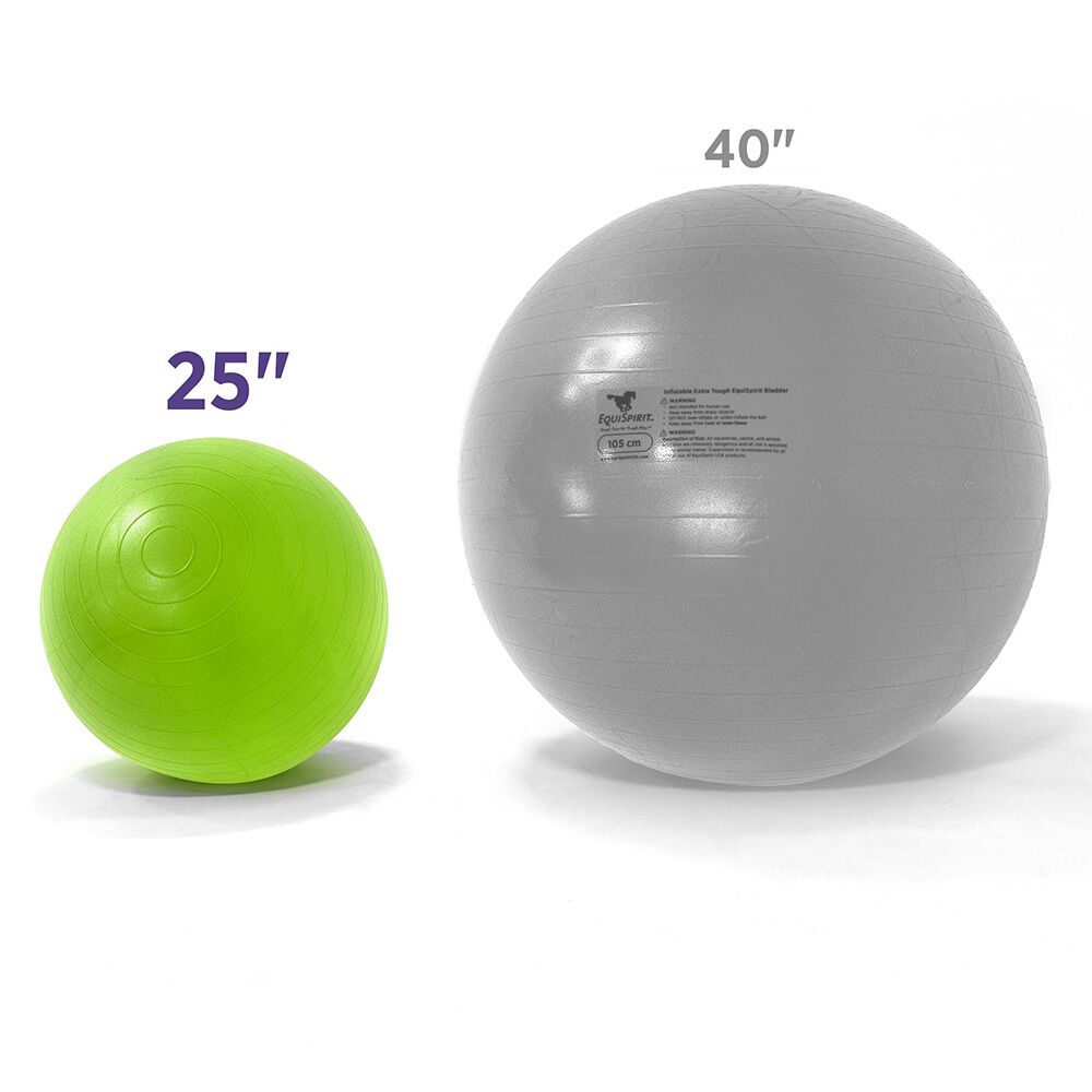 Bladder_25_40_Comparison_1