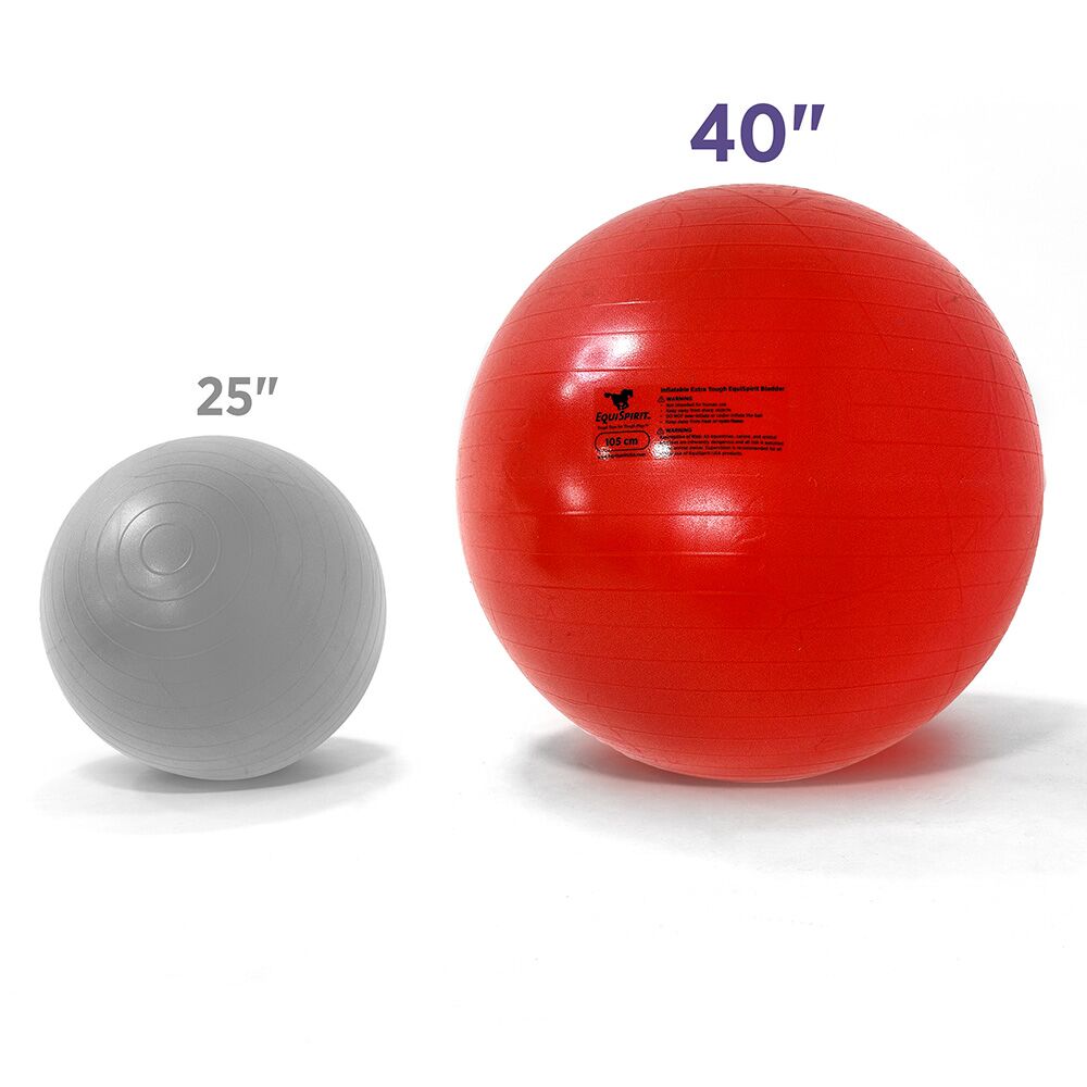 Bladder_25_40_Comparison_2