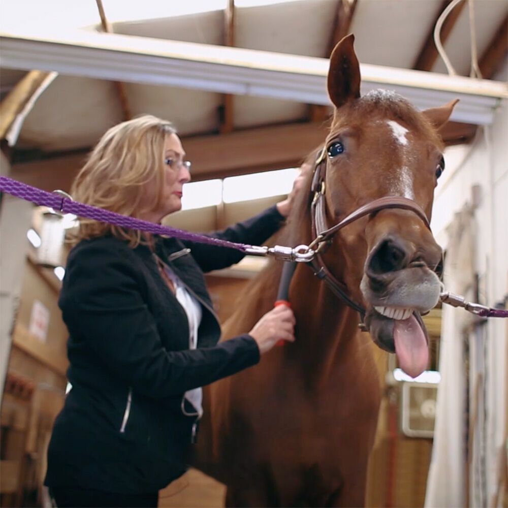 TheLongOne_EquiSpirit_01_Web