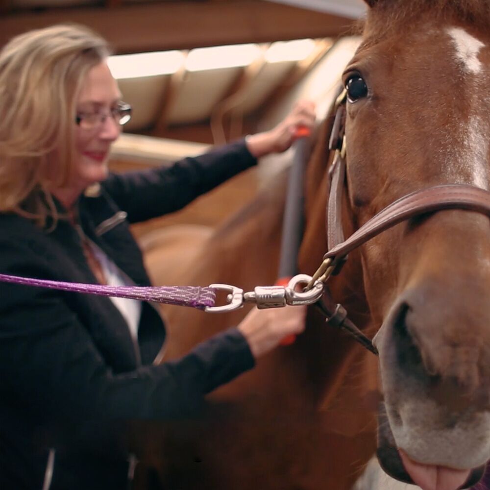 TheLongOne_EquiSpirit_02_Web