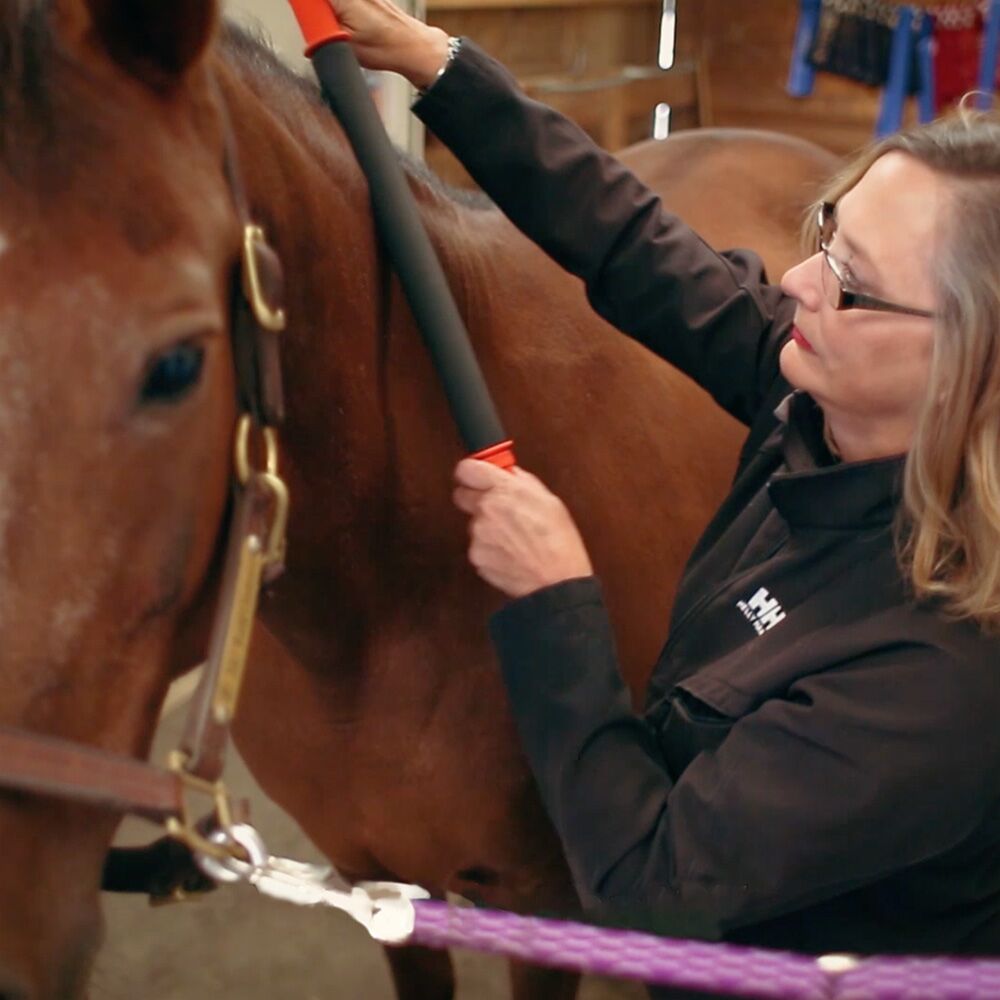 TheLongOne_EquiSpirit_04_Web