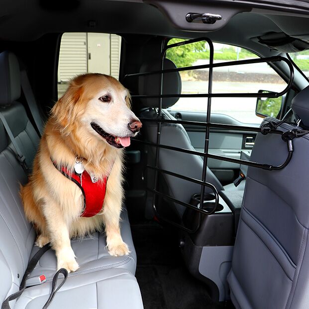 ZooKeeper_Cooper_Part_03