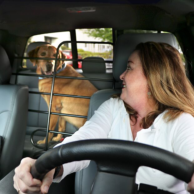 ZooKeeper_Dewey_Part_04